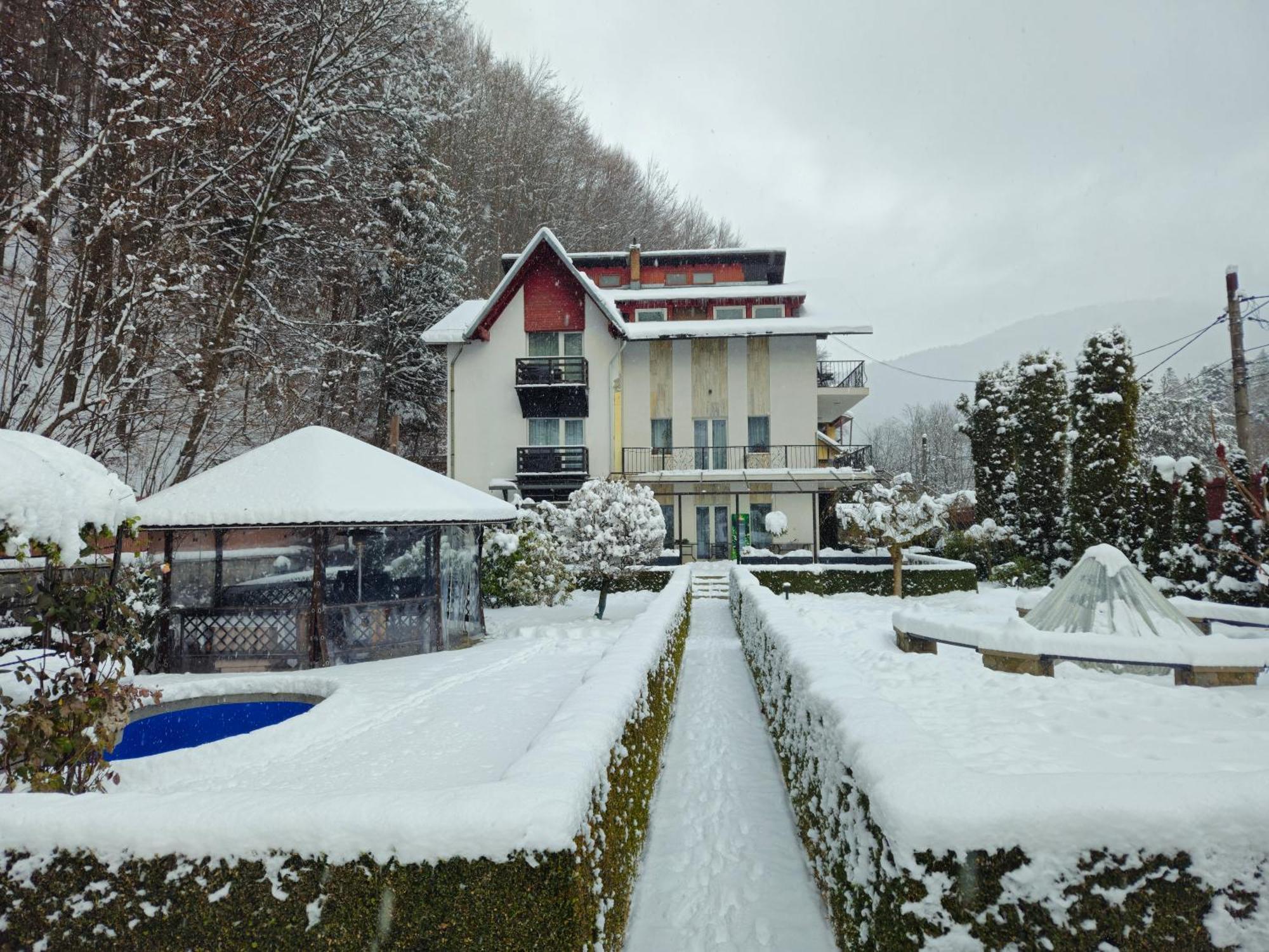 Villa Onix Sinaia Extérieur photo