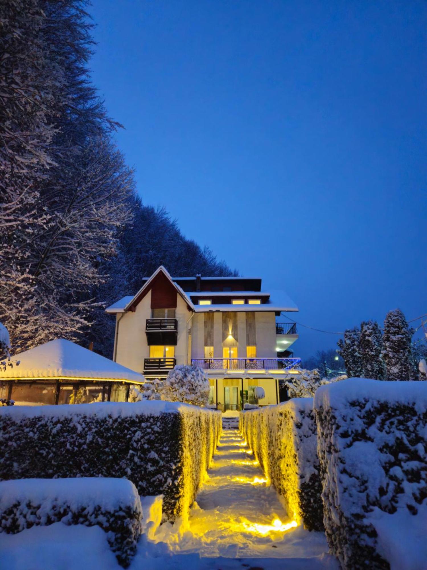 Villa Onix Sinaia Extérieur photo